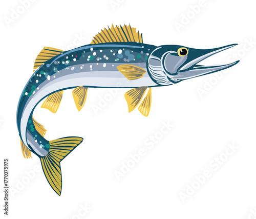 Realistic digital illustration of a sharp-toothed northern pike predatory fish swimming