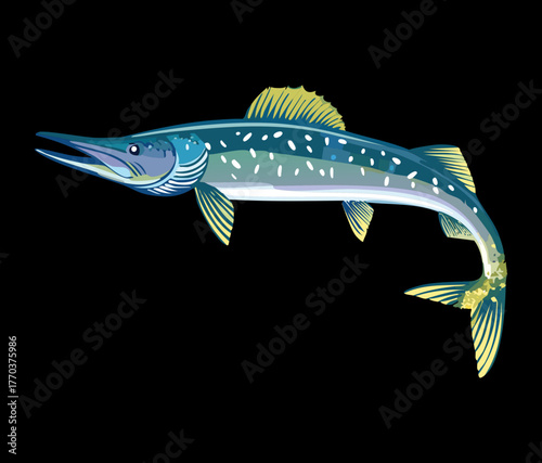 Garfish Needlefish Long-Nosed Predatory Fish Swimming Vector Illustration Wildlife Design on a Dark Surface
