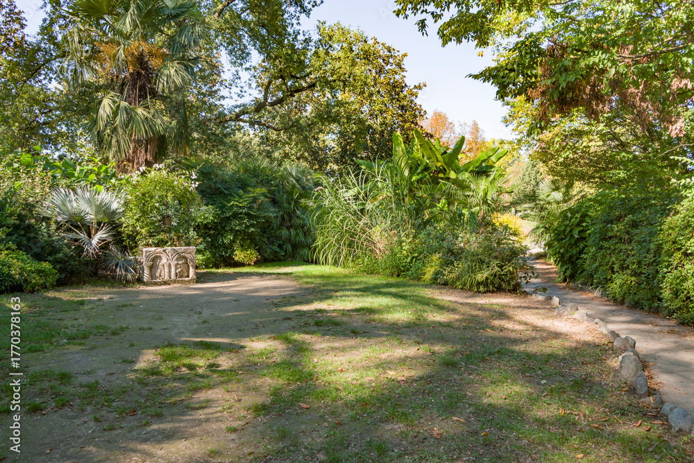 Fototapeta premium Particolari del bellissimo parco del Valentino