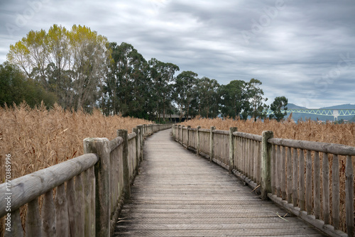 Paseo de catoira durante el otoño. Galicia.