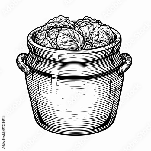 Fermented cabbage in a ceramic crock. Vintage engraving style line art of sauerkraut. Hand-drawn food preservation graphic isolated on white background