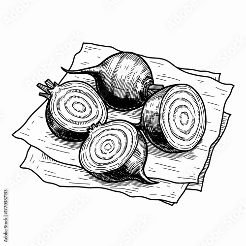 Vintage engraving of whole and sliced beets on parchment paper. Hand-drawn root vegetable sketch. Black and white line art isolated on a white background