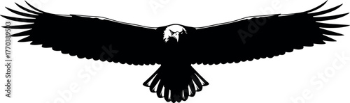 Eagle silhouette in flight, front view, black and white vector, fierce expression, wings spread, freedom symbol, patriotic bird illustration