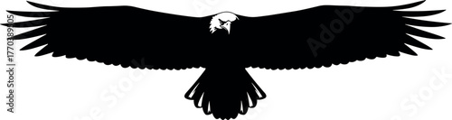 Eagle silhouette front view, wings wide open, black and white vector, powerful flight pose, freedom symbol, patriotic bird illustration