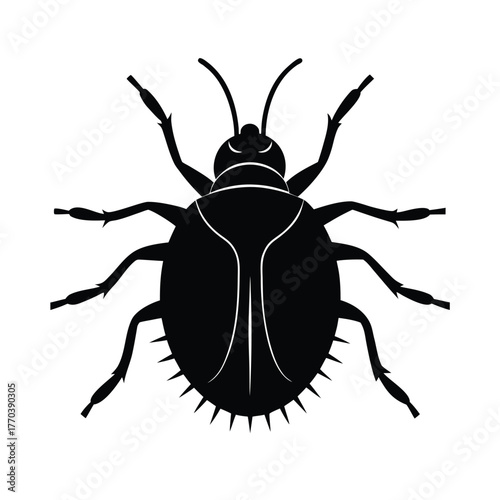 Chebakia Close Up Macro Dessert Photography