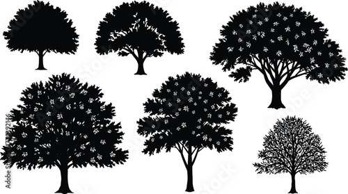 PrintTree silhouette collection, detailed natural forest illustration, black botanical design, park and landscape nature art, garden plant vector set