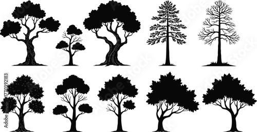 PrintTree silhouette collection, diverse forest tree vector set, natural landscape illustration, botanical black and white design elements, nature art graphics