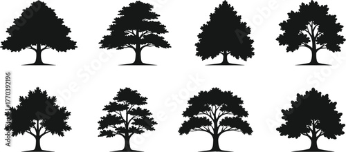 Tree silhouette collection, forest nature design, black vector illustration, isolated trees artwork, natural landscape graphic, environmental conservation concept, woodland elements set