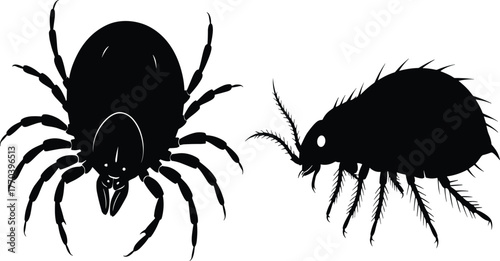 Tick and flea icon set, silhouette arthropods with detailed anatomy, black and white illustration, parasite, insect, vector, entomology, disease grid