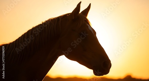 Horse Silhouette at Sunset