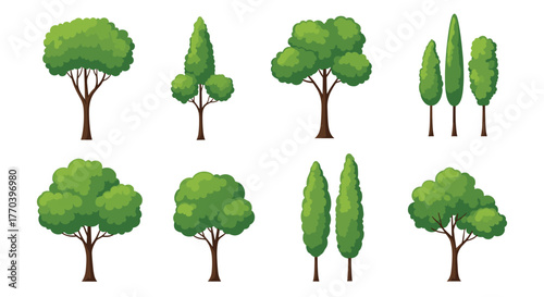 Collection of eight diverse cartoon trees with green foliage and brown trunks on a white background.