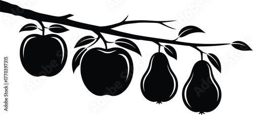 Apple and pear silhouette on branch isolated on transparent background