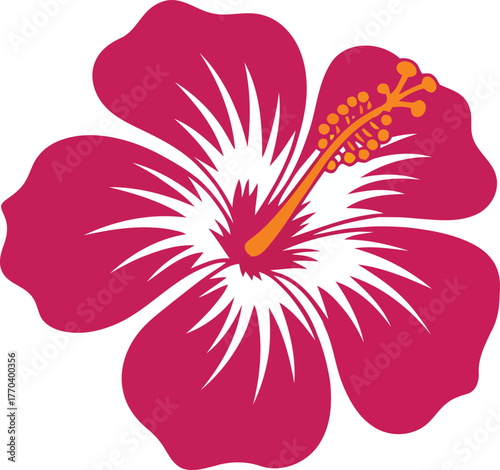 Vibrant pink hibiscus flower with white stamens and orange stamen