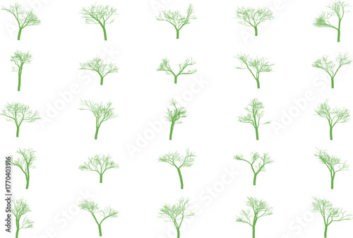 Vibrant bare tree branches delicate white flowers spring awakening blossoms nature beauty