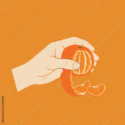 Illustration of a hand peeling a tangerine with two segments detached, set against an orange backdrop