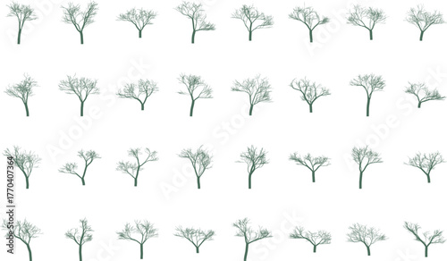 Collection of diverse stylized leafless trees with intricate branching patterns minimalist nature elements