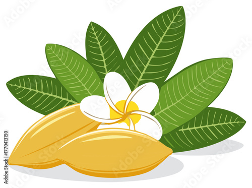 Vibrant Tropical Cacao Pods Plumeria Flower and Lush Green Leaves Illustration