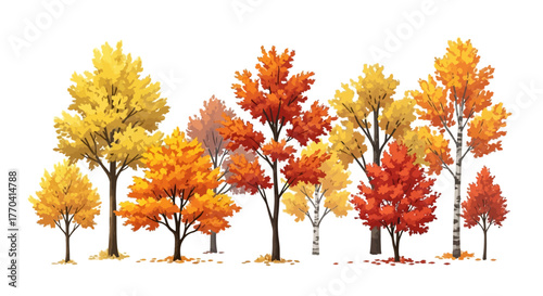 Autumnal trees illustration vibrant colors isolated white background