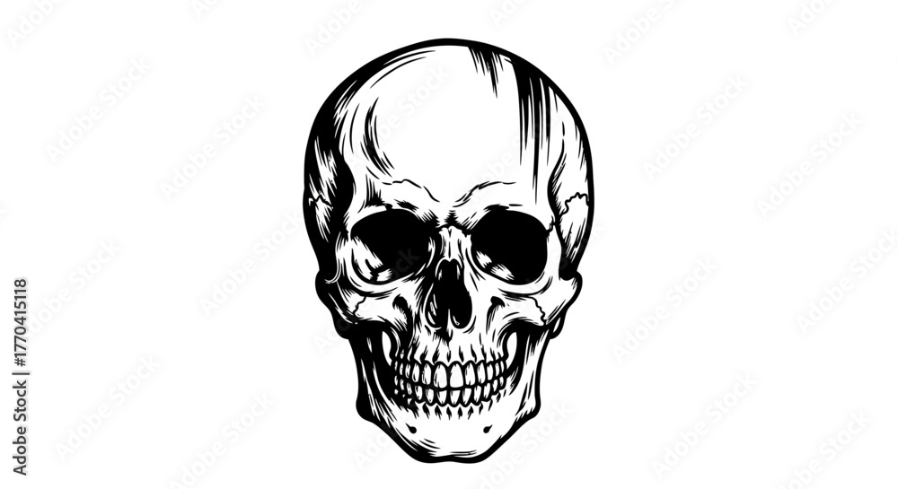 Fototapeta premium Detailed skull illustration graphic on white background