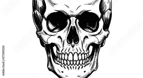 Detailed skull illustration black and white anatomy drawing human skeleton bone structure graphic design