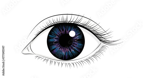 Eye illustration detailed view of human eye iris eyelashes isolated on white background