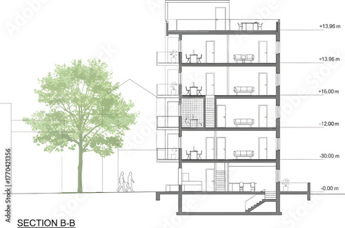Architectural cross section drawing of a multi story building with a tree illustration on the side