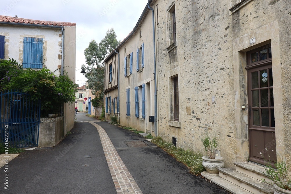 Fototapeta premium Vieille rue typique, village de Vouvant, département de la Vendée, France