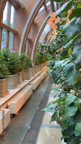 Indoor garden with various plants in pots along wooden windowed hallway, nature and tranquility