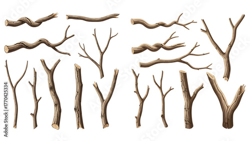 A realistic collection of various dry, bare, and twisted tree branches and sticks isolated on a transparent background.