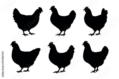 Six silhouette chickens standing on a white background in a grid.