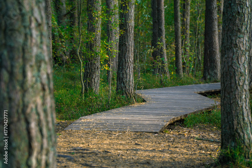 Sestroretskoye Bog State Nature Reserve of Regional Significance
