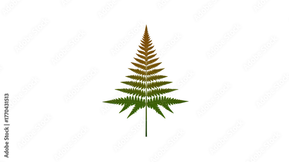 Obraz premium Fern leaf illustration green and brown gradient isolated on transparent background botanical symmetrical natural minimal decorative peaceful suitable for design and nature concepts