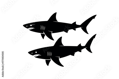 Two menacing sharks swim in silhouette against a white background.
