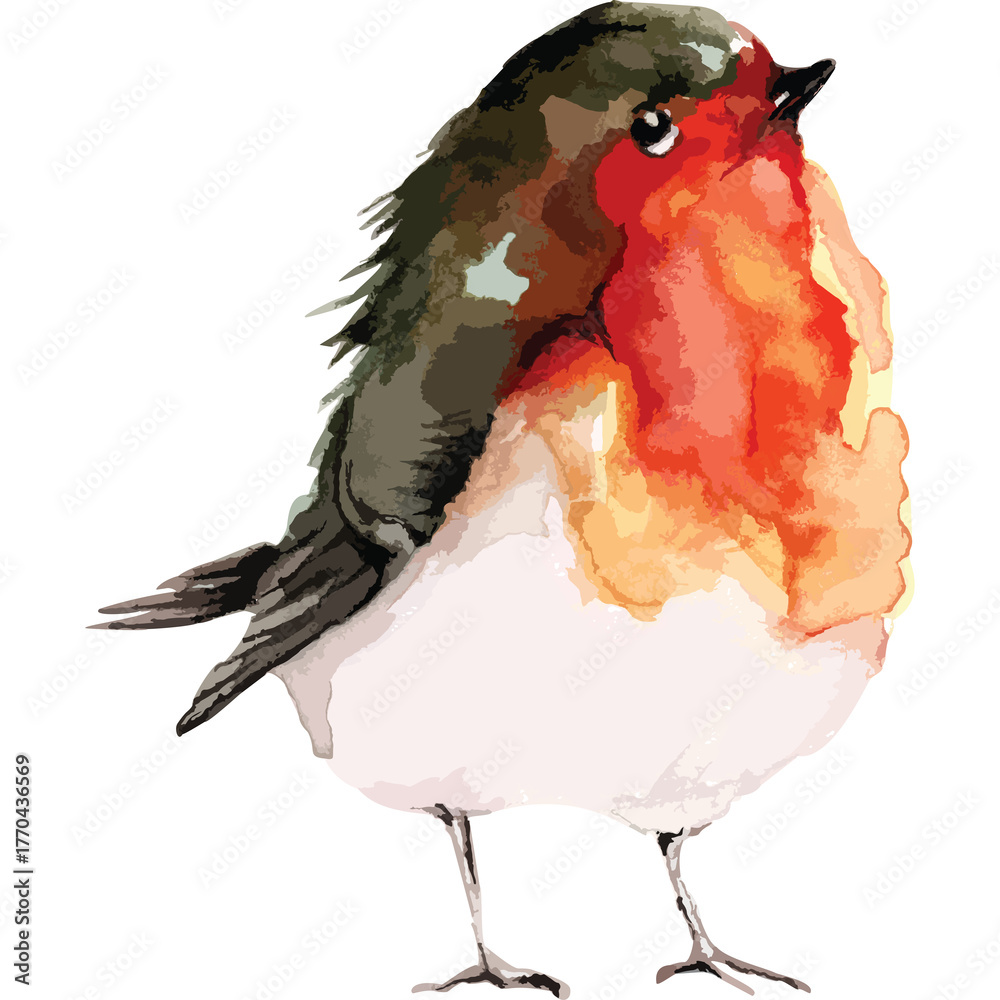 Naklejka premium Watercolor Robin Bird With Red Orange Chest And Dark Green Brown Back Standing On Thin Legs With White Background