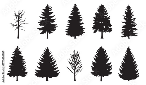 Ten different tree shapes in black silhouette illustrating forest diversity and outdoor landscape design