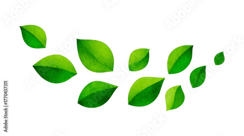 Green leaf nature plant foliage botanical fresh organic eco natural decorative isolated watercolor illustration design spring summer environment growth vibrant healthy Green leaf illustration with