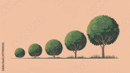 Illustration of tree growth stages on a peach background