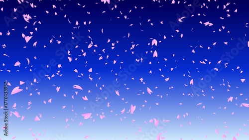 Bunch of pink cherry petals falling down from top to bottom on dark blue gradient background while the camera moving backward. Abstract background with a scene of Spring time in Japan.