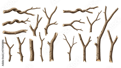 A realistic collection of various dry, bare, and twisted tree branches and sticks isolated on a transparent background.