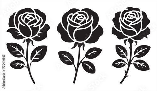 Collection of botanical rose illustrations in monochrome style symbolizing natural beauty and affection