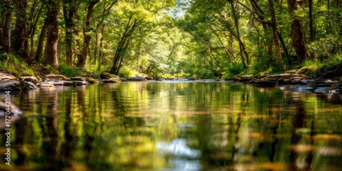 Forest river reflecting green trees and lush foliage, creating a tranquil summer nature landscape with shimmering water