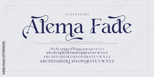 Lettering Fashion Designs. Modern elegant alphabet letters font and number. Minimalist typography fonts regular, typeface uppercase and lowercase.