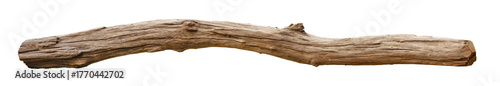 Broken tree branches with detached bark. Rustic wood branch. Weathered driftwood log isolated. Willow log isolate	