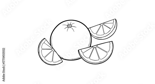 Orange Whole and Sliced – Detailed Citrus Fruit Line Drawing Illustration