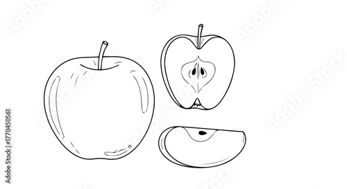 Apple Whole, Halved, and Sliced – Minimalist Line Drawing Illustration