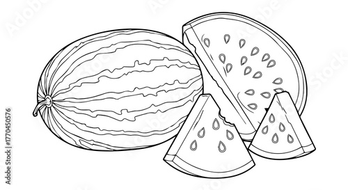 Watermelon Whole and Sliced – Black and White Line Drawing Illustration