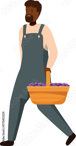 Winemaker walking and carrying a basket full of ripe grapes