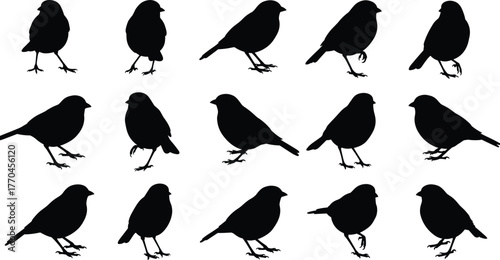 Bird silhouette grid, avian vector collection, perched bird outline, standing bird shape, wildlife illustration, black bird design, decorative nature element, animal art