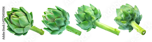 Foto Close up of a fresh green artichoke or freshly harvested artichoke isolated