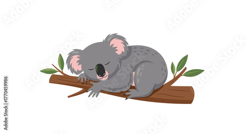 Sleeping koala bear illustration on tree branch cute animal wildlife australia cartoon drawing vector image